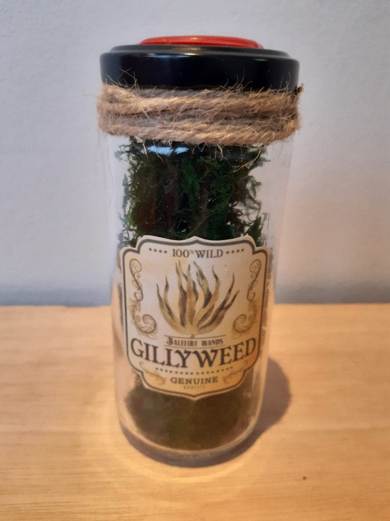 Harry Potter Gillyweed Potion, Ophalen of Verzenden, Zo goed als nieuw, Versiering, Overige