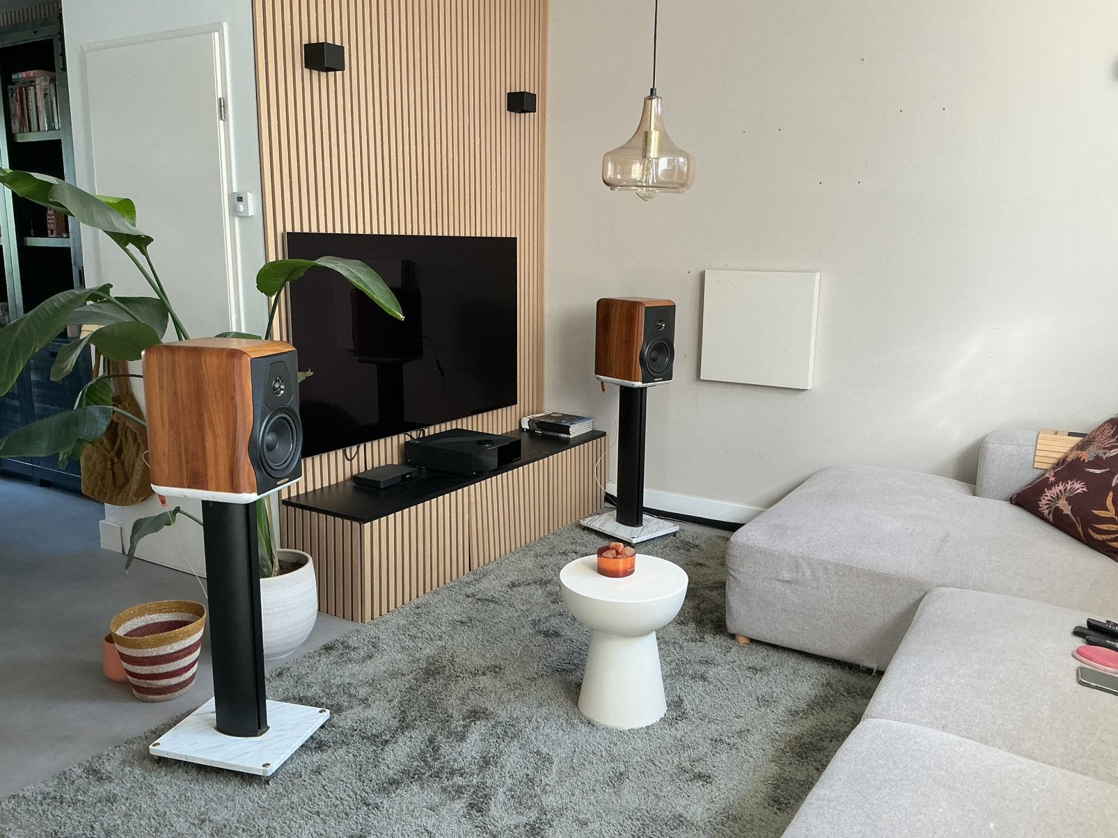 Sonus faber Electa Amator III incl Originele Carrera Stands, Ophalen, Zo goed als nieuw, Overige merken