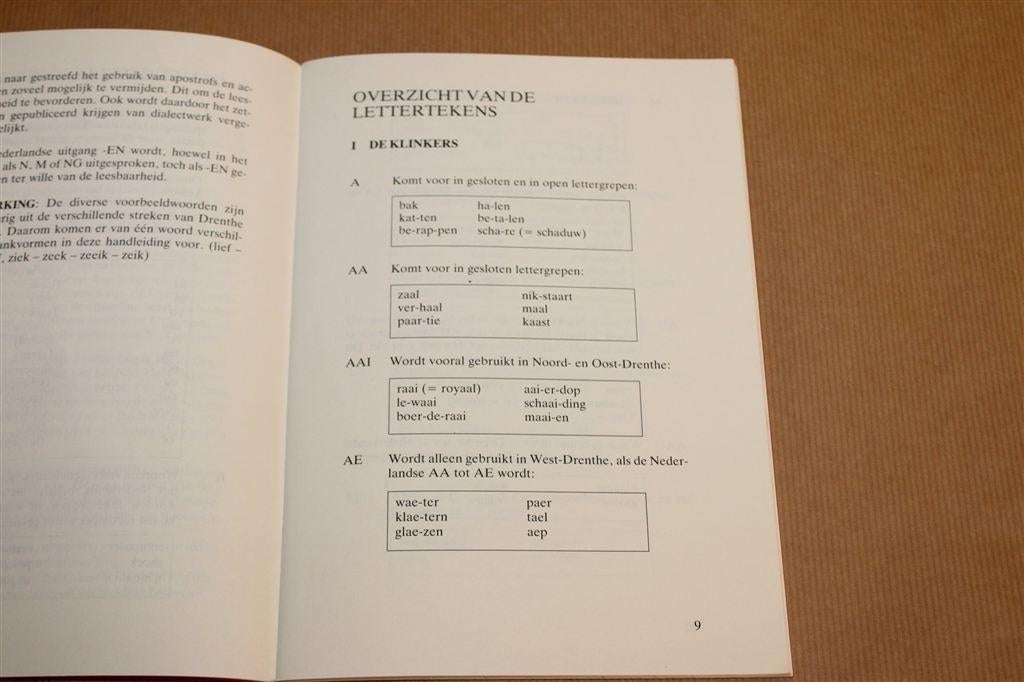 Drentse Spelling — Handleiding Streektaal 1983, Boeken, Ophalen of Verzenden, Gelezen