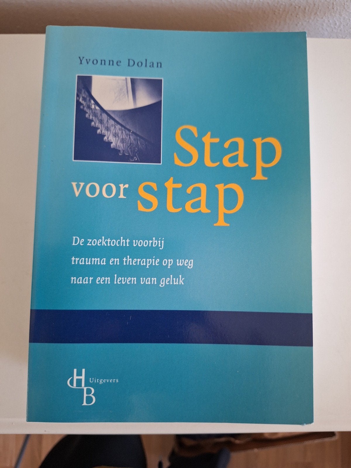 Y. Dolan - Stap voor stap, Y. Dolan, Ophalen of Verzenden, Ontwikkelingspsychologie, Zo goed als nieuw