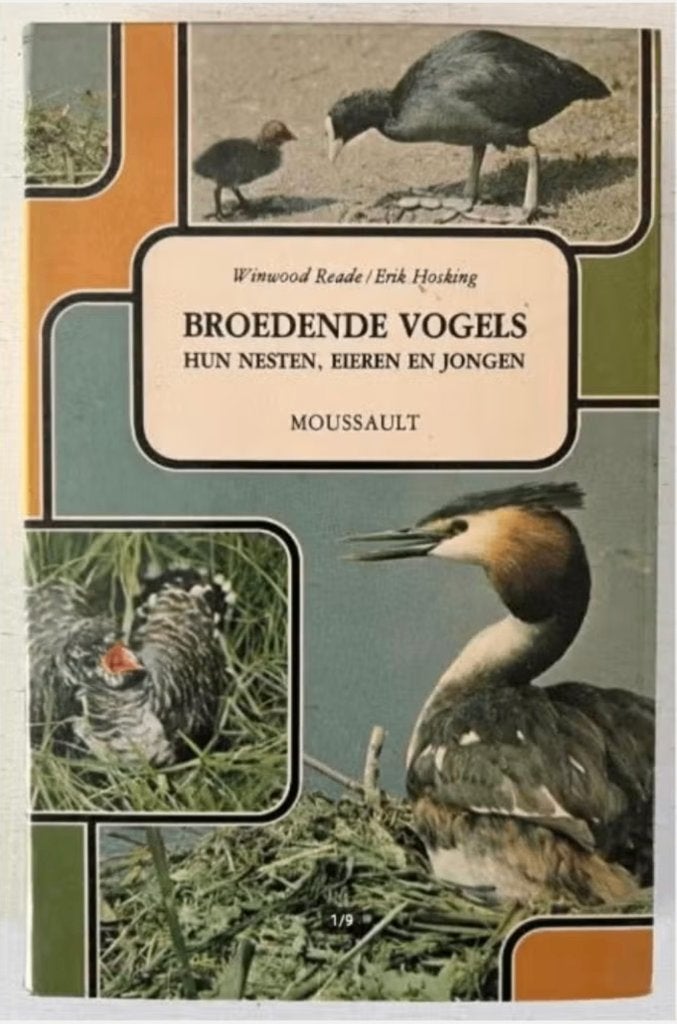 Broedende vogels – hun nesten, eieren en jongen - Moussault, Ophalen of Verzenden, Gelezen, Vogels