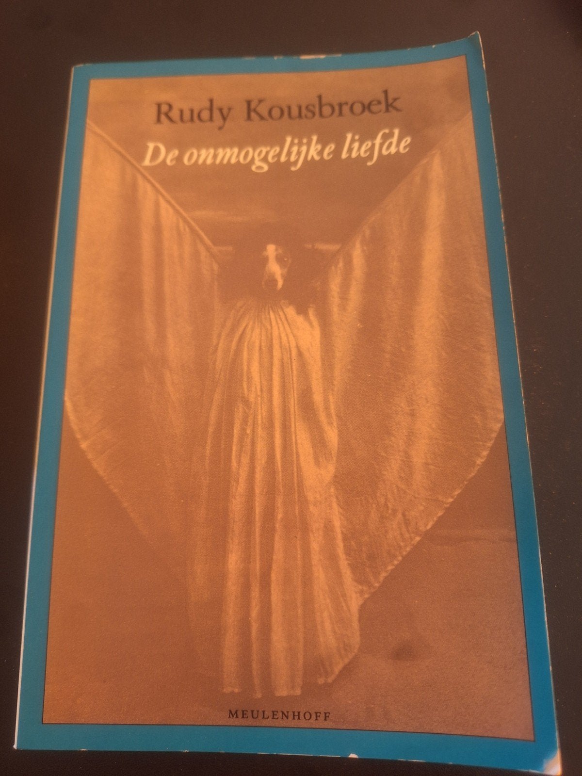 Rudy Kousbroek - De onmogelijke liefde, Boeken, Ophalen of Verzenden, Gelezen, Rudy Kousbroek, Nederland