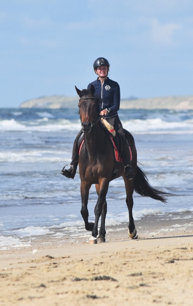 lieve 6 jarige draver ruin, Dieren en Toebehoren, Met stamboom, Ruin, 3 tot 6 jaar, 160 tot 165 cm