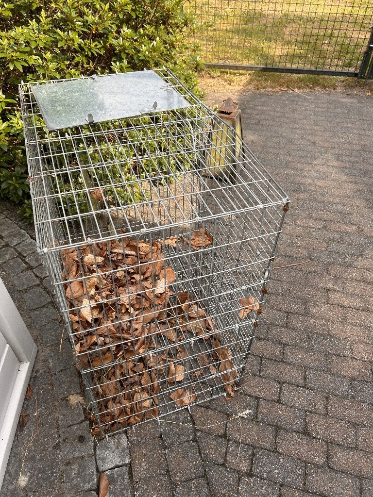 Ekster Vangkooi, Ophalen, Gebruikt, Metaal, Vogelkooi