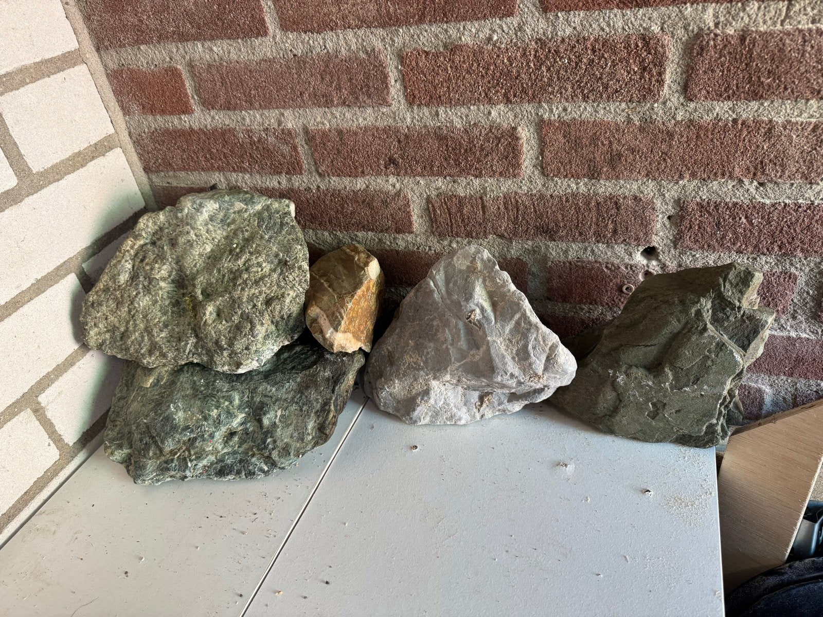 Aquarium stenen, Ophalen, Zo goed als nieuw, Plant(en), Steen of Hout