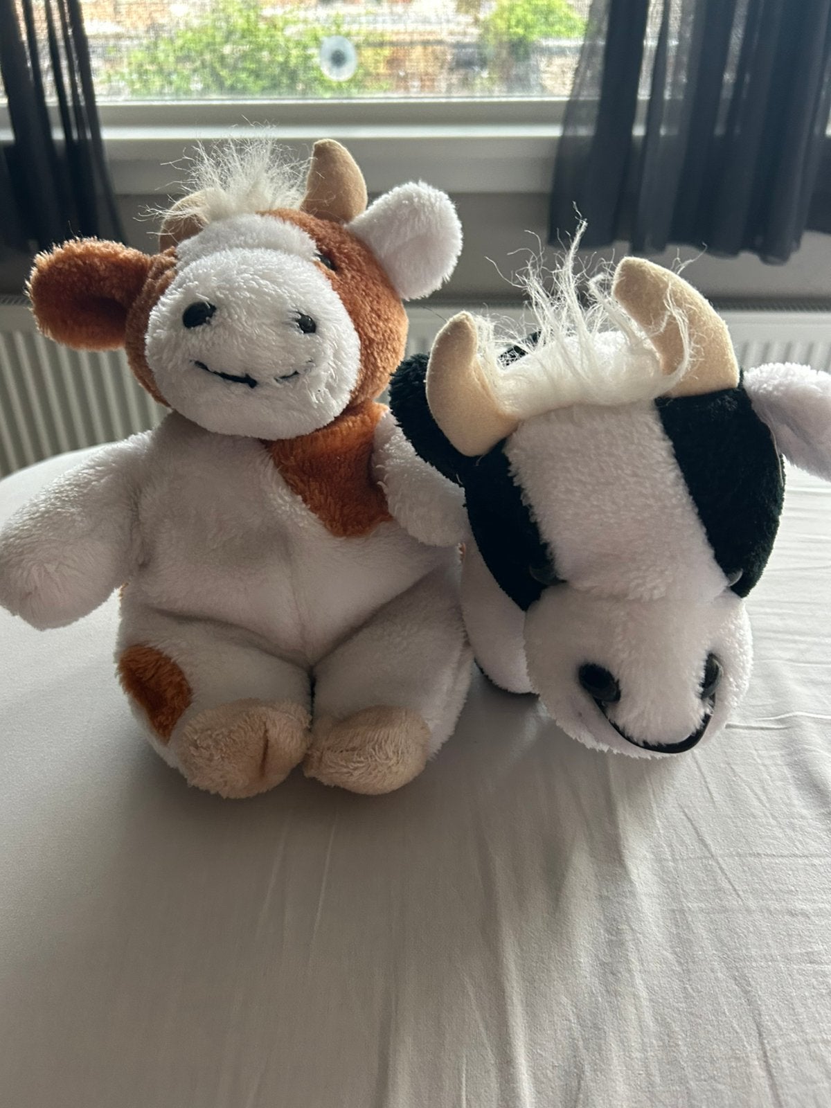 Knuffels koeien, Ophalen of Verzenden, Gebruikt, Koe