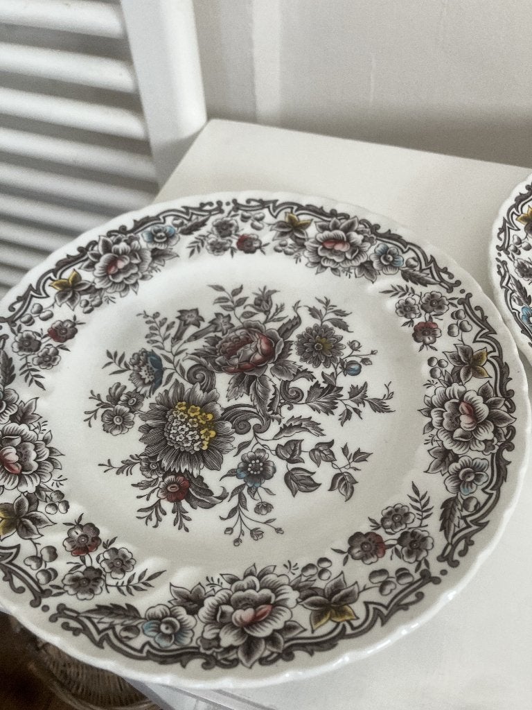 2 dinerborden van Ironstone Staffordshire, Huis en Inrichting, Gebruikt, Ophalen of Verzenden, Bord(en), Overige stijlen