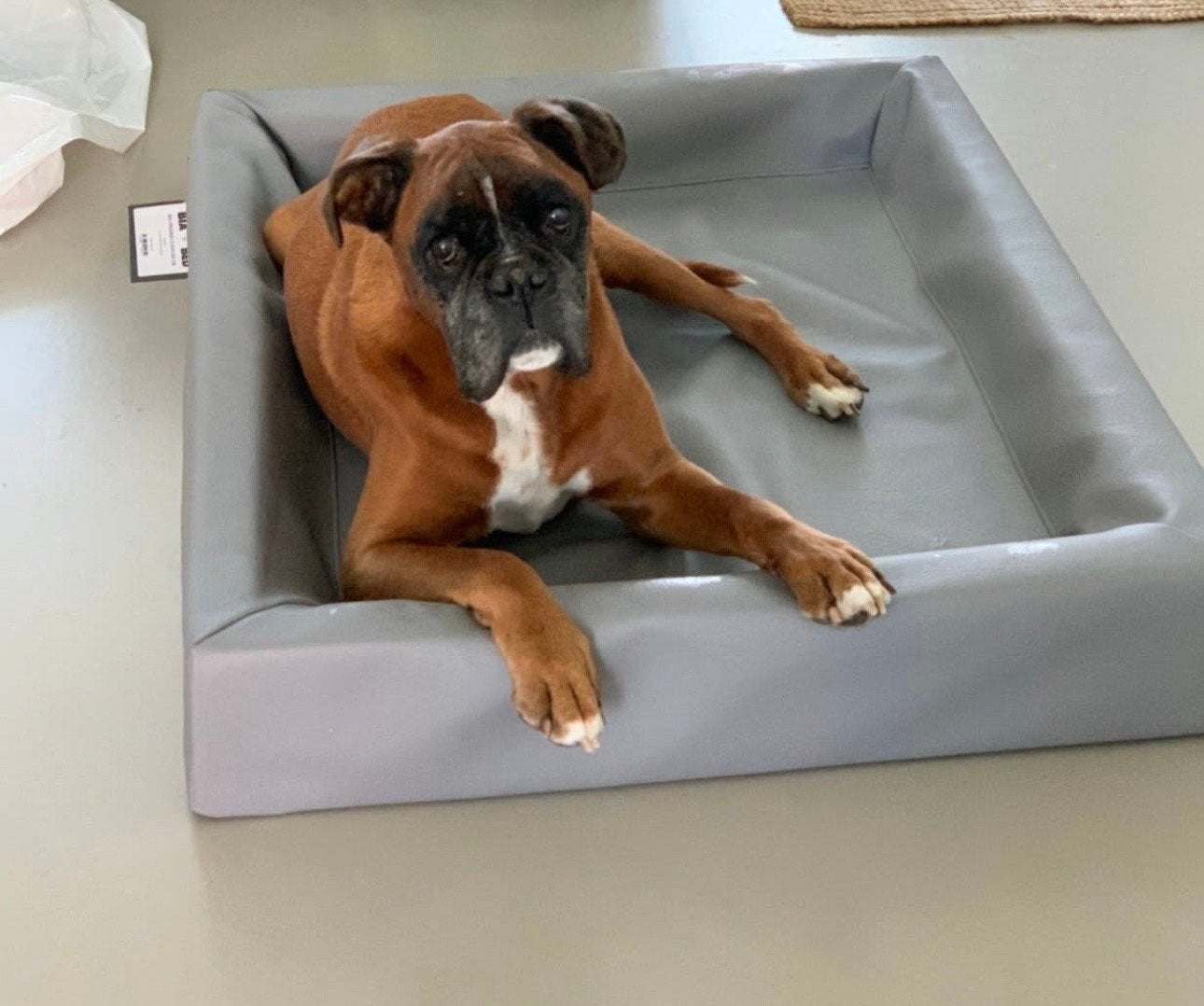 Bia bed original 80x100x15 grijs z.g.a.n., Ophalen, Zo goed als nieuw, Polyester