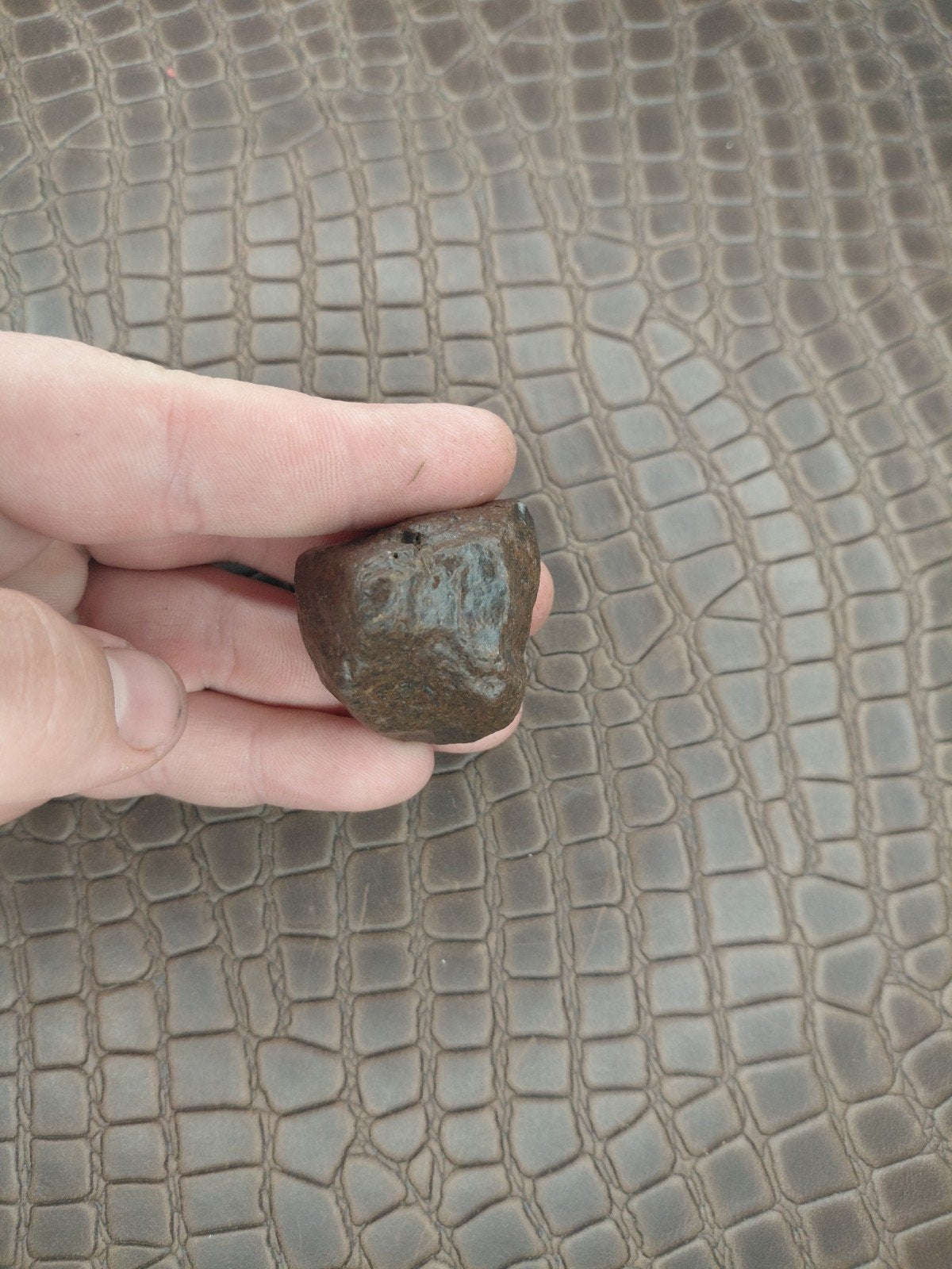 59 gram zware steen Meteoriet met smeltkorst, Verzenden