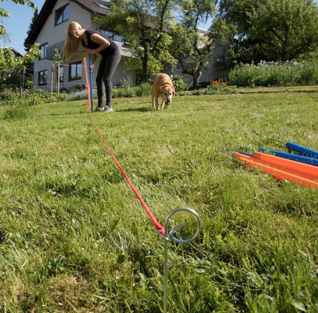 Agility trainingsplaaltjes, Ophalen, Zo goed als nieuw, Behendigheidspeelgoed, Overige merken