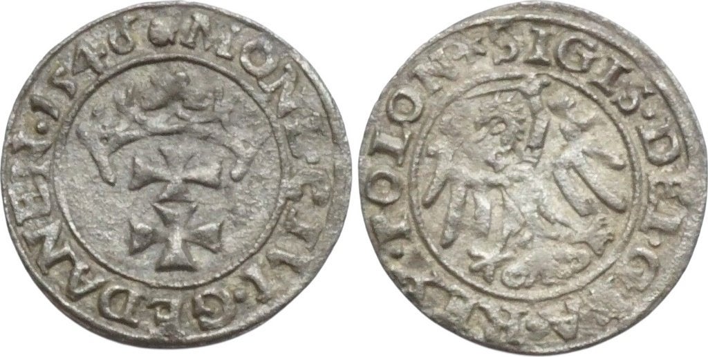 Szeląg 1546, Polen Danzig Sigismund I de Oude, Verzenden, Polen, Losse munt, Zilver