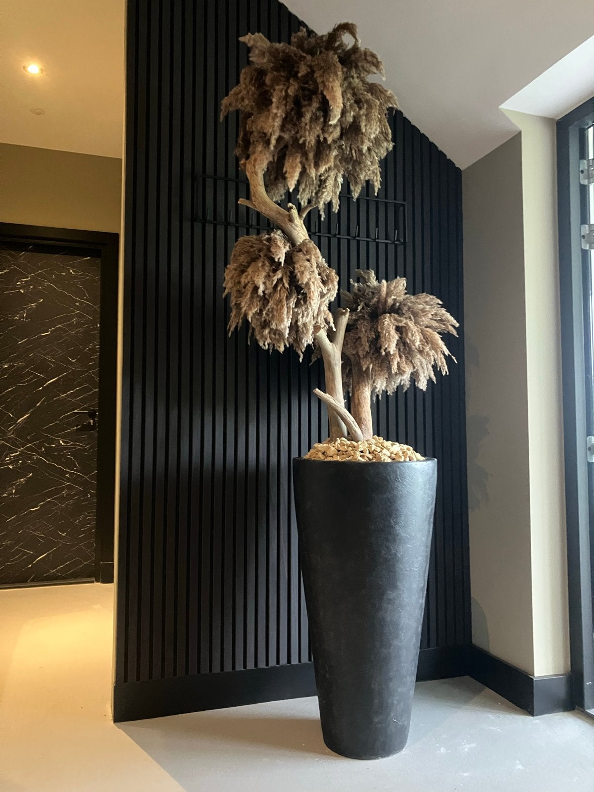 Grote pampusboom met pot, Ophalen, Binnen, Bruin, Overige typen