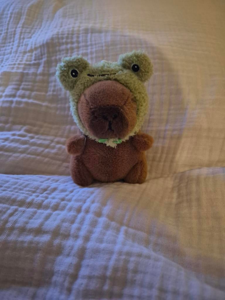 Capibara knuffeltje met kikkermutsje, Ophalen of Verzenden