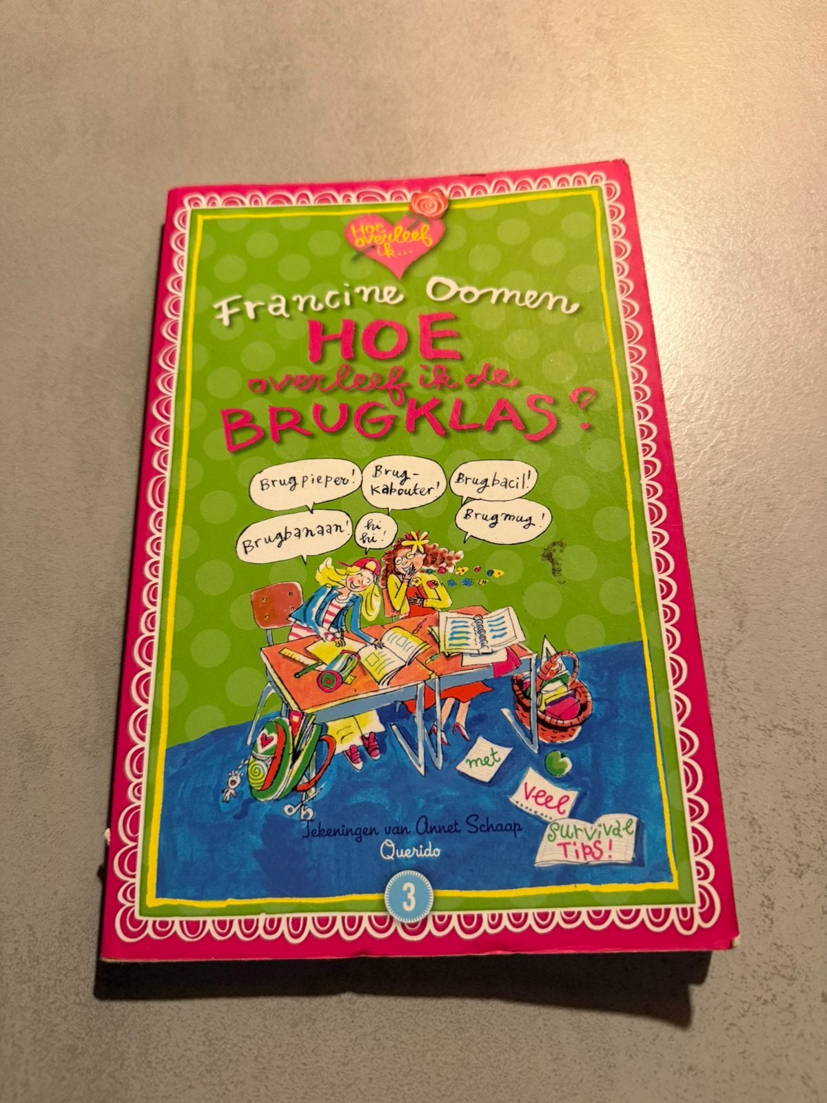 Hoe overleef ik de brugklas boek, Boeken, Ophalen of Verzenden, Zo goed als nieuw