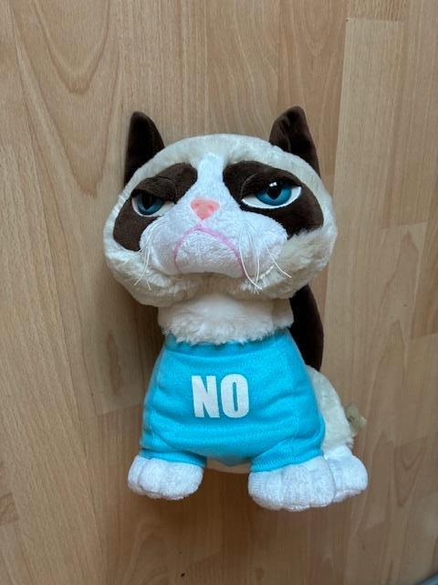 Grumpy Cat, Ophalen of Verzenden, Zo goed als nieuw, Overige typen