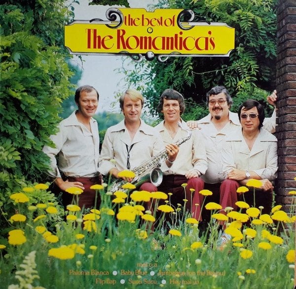 Neder Pop L.P. : the Romantica's - The Best of ..., LP, Gebruikt, Pop, Ophalen of Verzenden