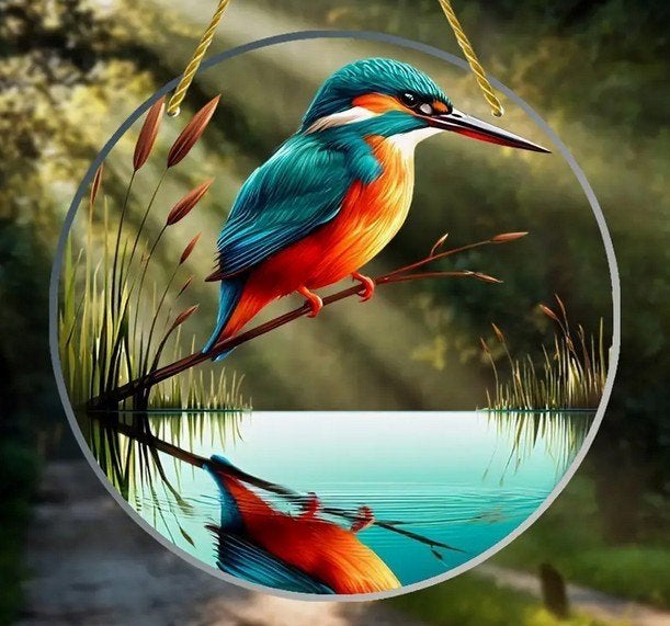 Raamhanger jagende ijsvogel, Verzenden, Nieuw