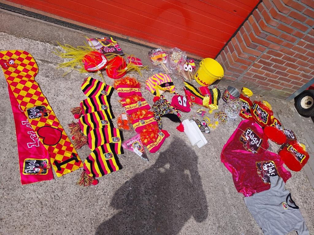 XXL Flügel Promotiepakket: Feestartikelen & Decoraties, Hobby en Vrije tijd, Feestartikelen, Ophalen