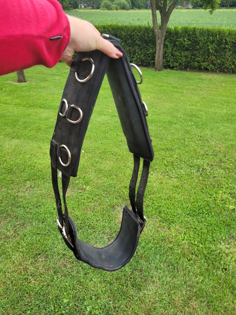 Longeersingel pony, Dieren en Toebehoren, Ophalen of Verzenden