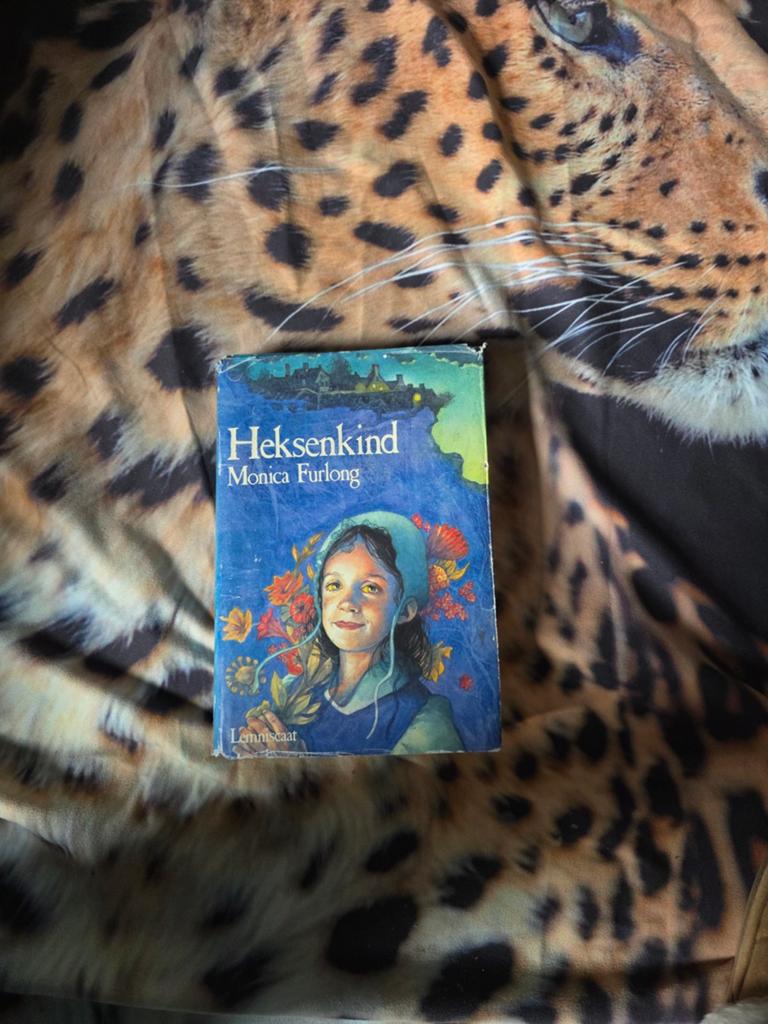 Heksenkind Monica Furlong oude uitgave, Ophalen of Verzenden, Zo goed als nieuw, Sprookjes