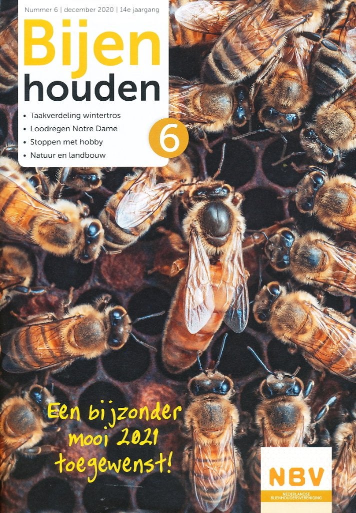 Bijenhouden nr 6 - 2020, Boeken, Tijdschriften en Kranten, Verzenden, Gelezen, Wetenschap en Natuur