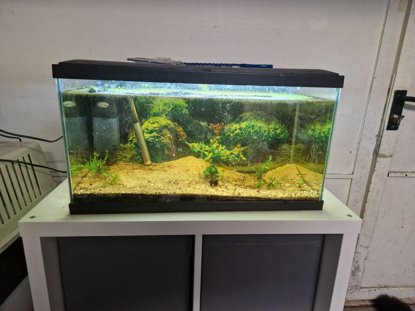 Aquarium, Ophalen, Inclusief toebehoren, Zo goed als nieuw, Leeg aquarium