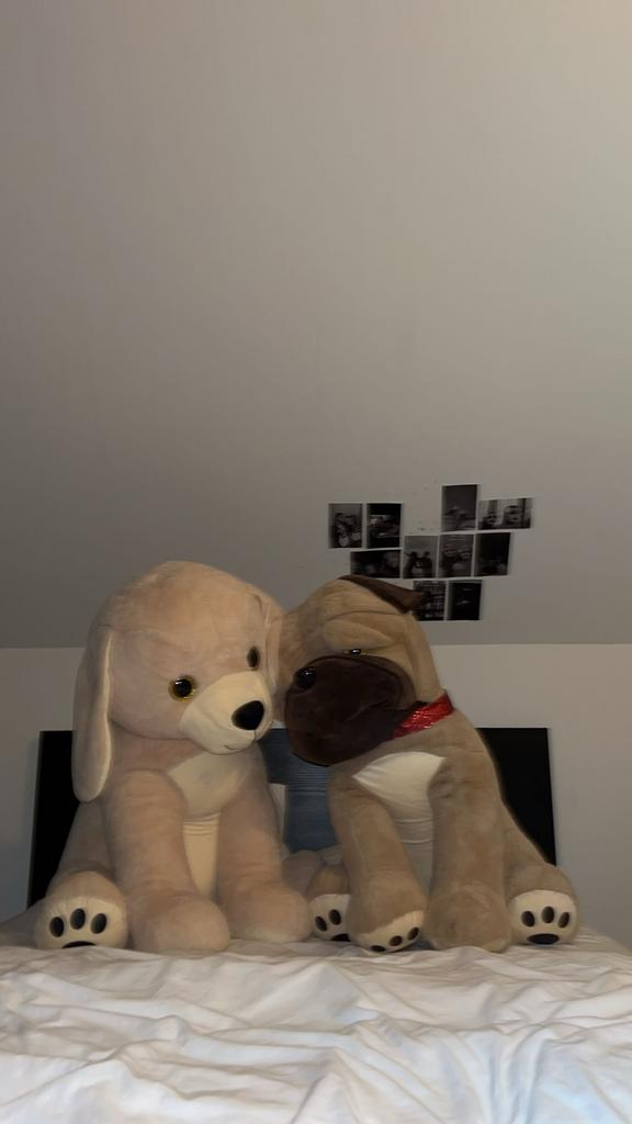 XXXL Hondenknuffels Walibi - Grote Knuffelhonden, Ophalen, Nieuw, Hond