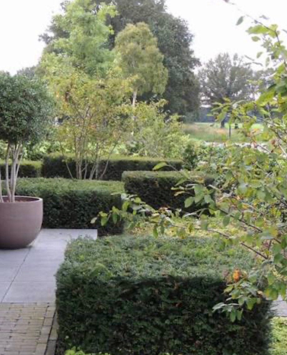 Tuinhulp aangeboden | Eindhoven | Son en Breugel | Nuenen, Ophalen, Halfschaduw, Overige soorten