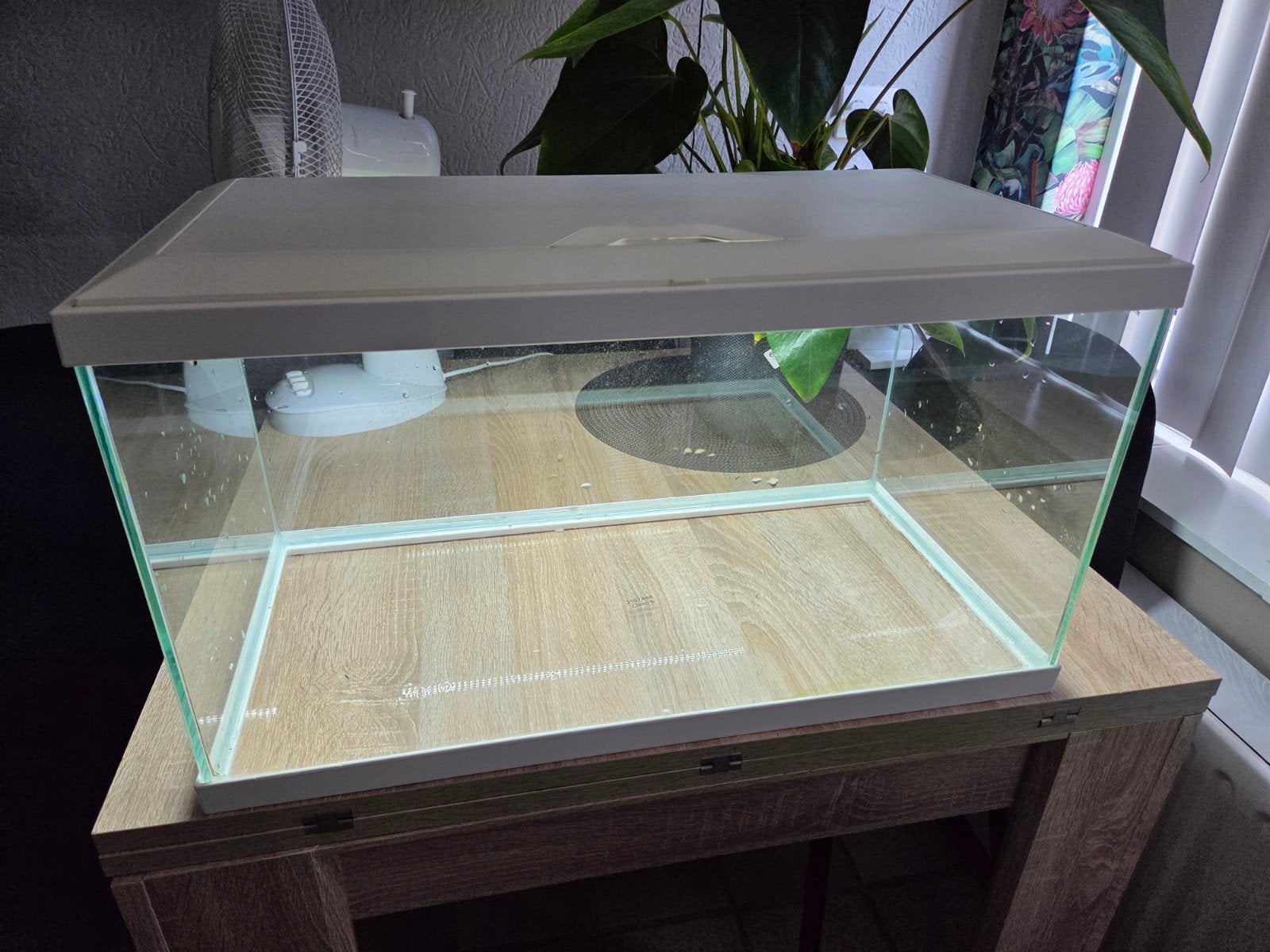 Aquarium 60cm, Ophalen, Zo goed als nieuw
