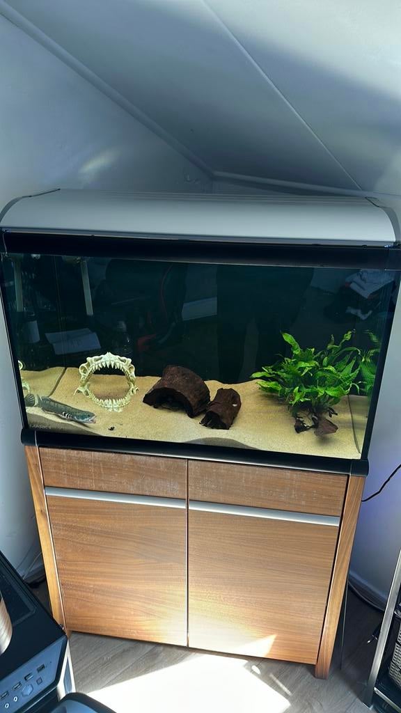 Akvastabil Mark II + Oase pomp, Dieren en Toebehoren, Ophalen, Zo goed als nieuw, Leeg aquarium