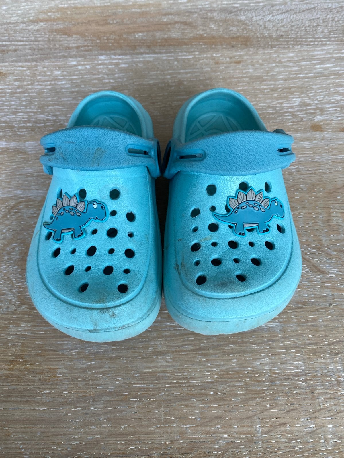 Leuke blauwe klompjes met dinosaurus, maat 26, Ophalen of Verzenden, Gebruikt, Jongen of Meisje, Schoenen