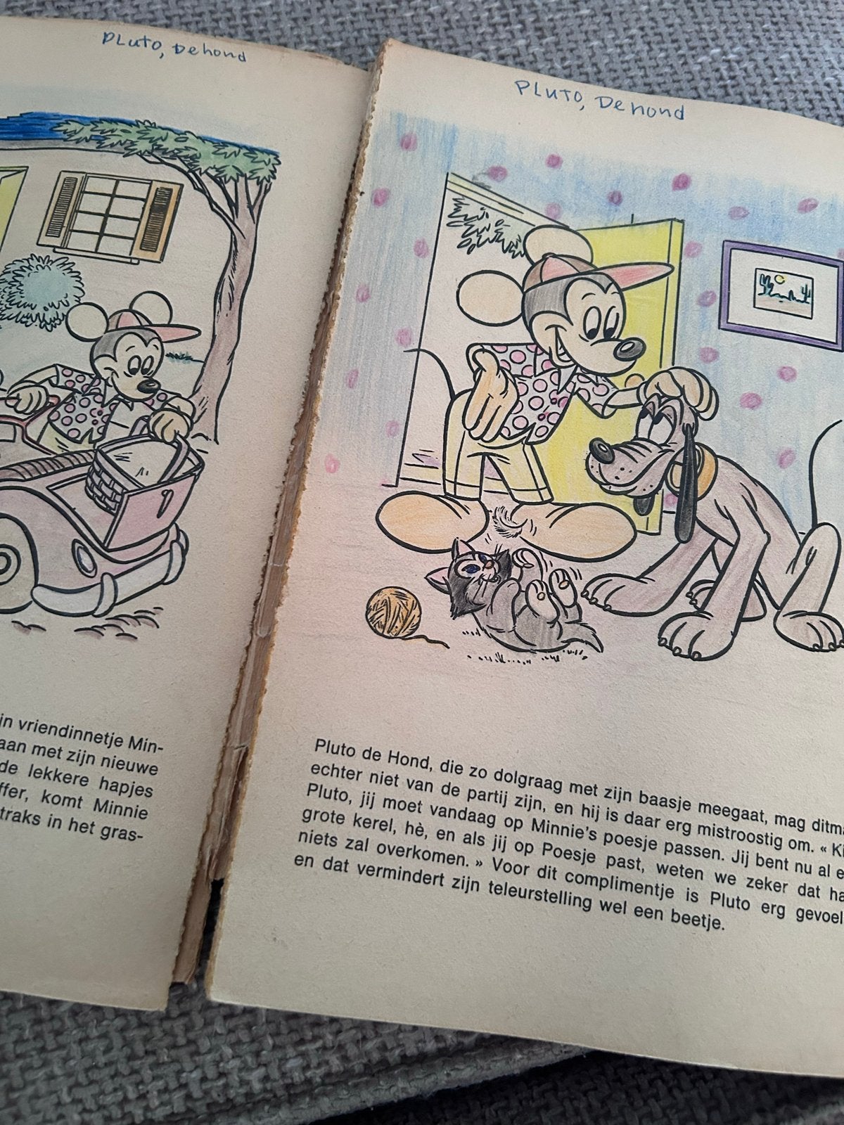 Walt Disney's Pluto, de Hond - Vertel- en Kleurboek, Ophalen of Verzenden, Gelezen, Uitklap-, Voel- of Ontdekboek