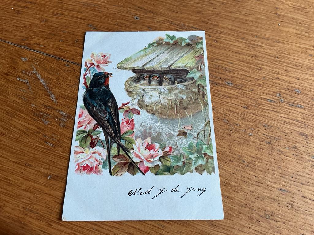 H58 vogel, Ophalen of Verzenden, 1980 tot heden, Natuur