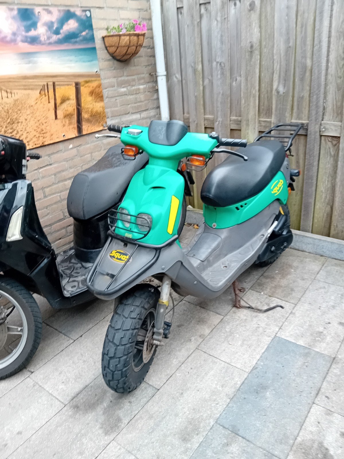 peugeot squab 50cc 2e eigenaar!, Ophalen, Gebruikt, Overige modellen, Maximaal 45 km/u