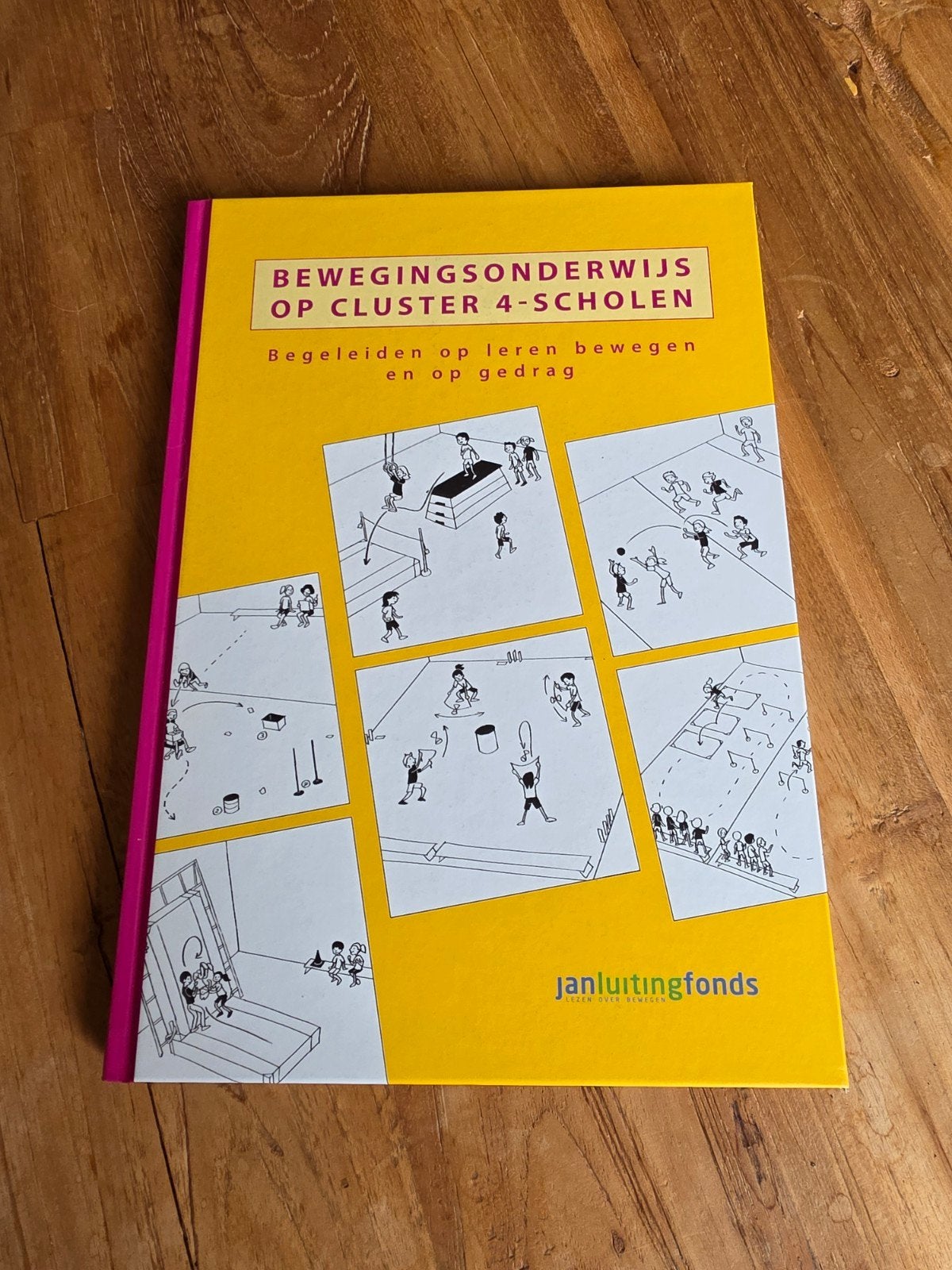 Bewegingsonderwijs op Cluster 4-scholen, Boeken, Zo goed als nieuw, Gamma, Overige niveaus, Jan Luiting Fonds