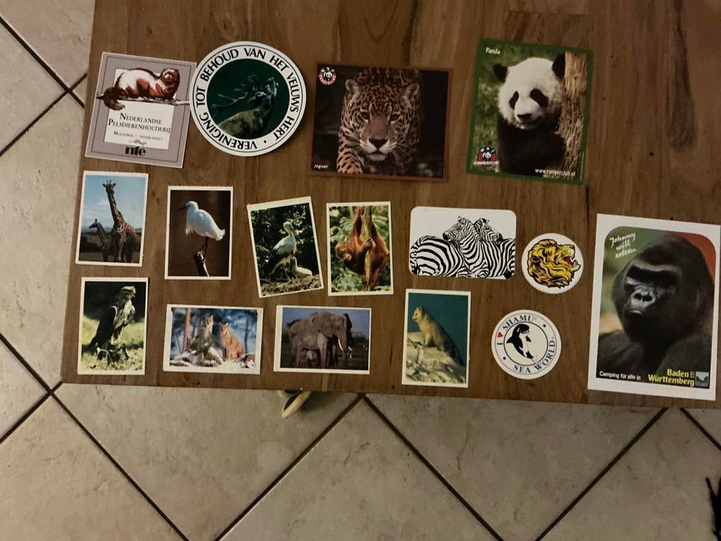 Stickers dierenallerlei, Verzamelen, Stickers, Ophalen of Verzenden, Zo goed als nieuw