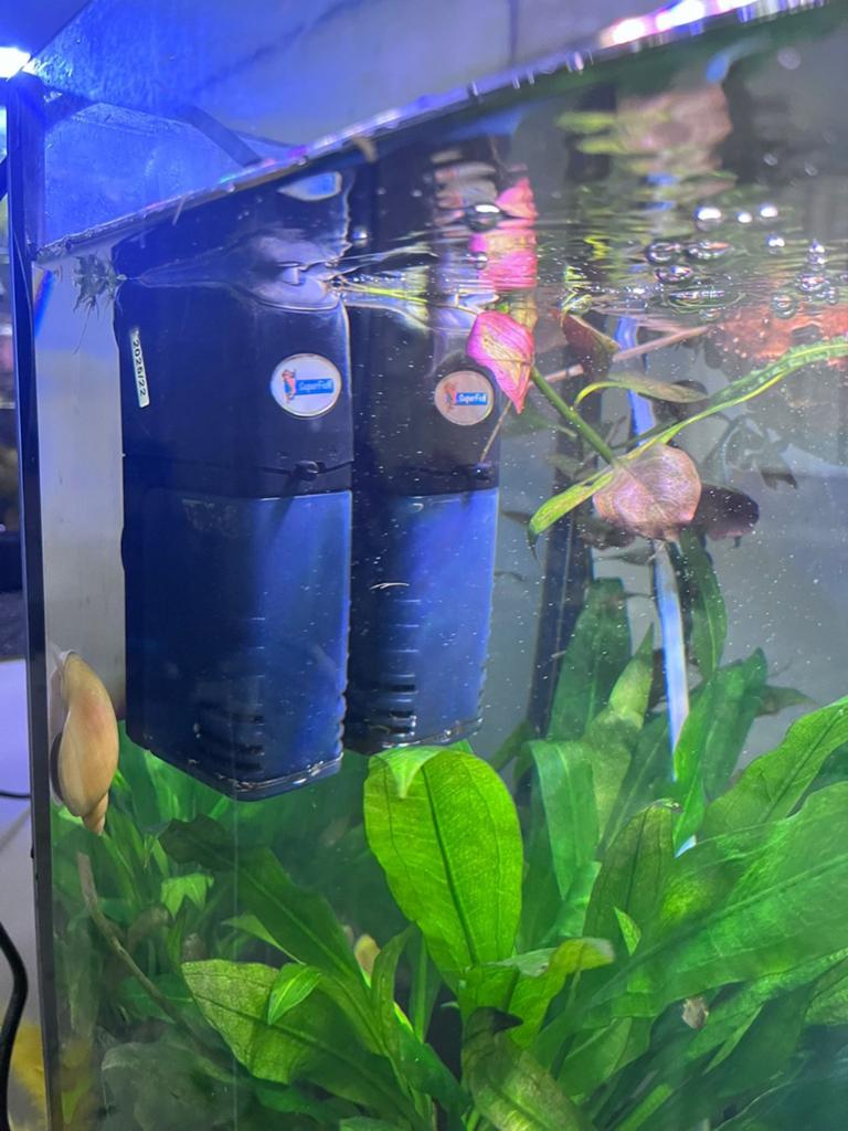 Filters aquarium flow100, Dieren en Toebehoren, Vissen | Aquaria en Toebehoren, Ophalen of Verzenden