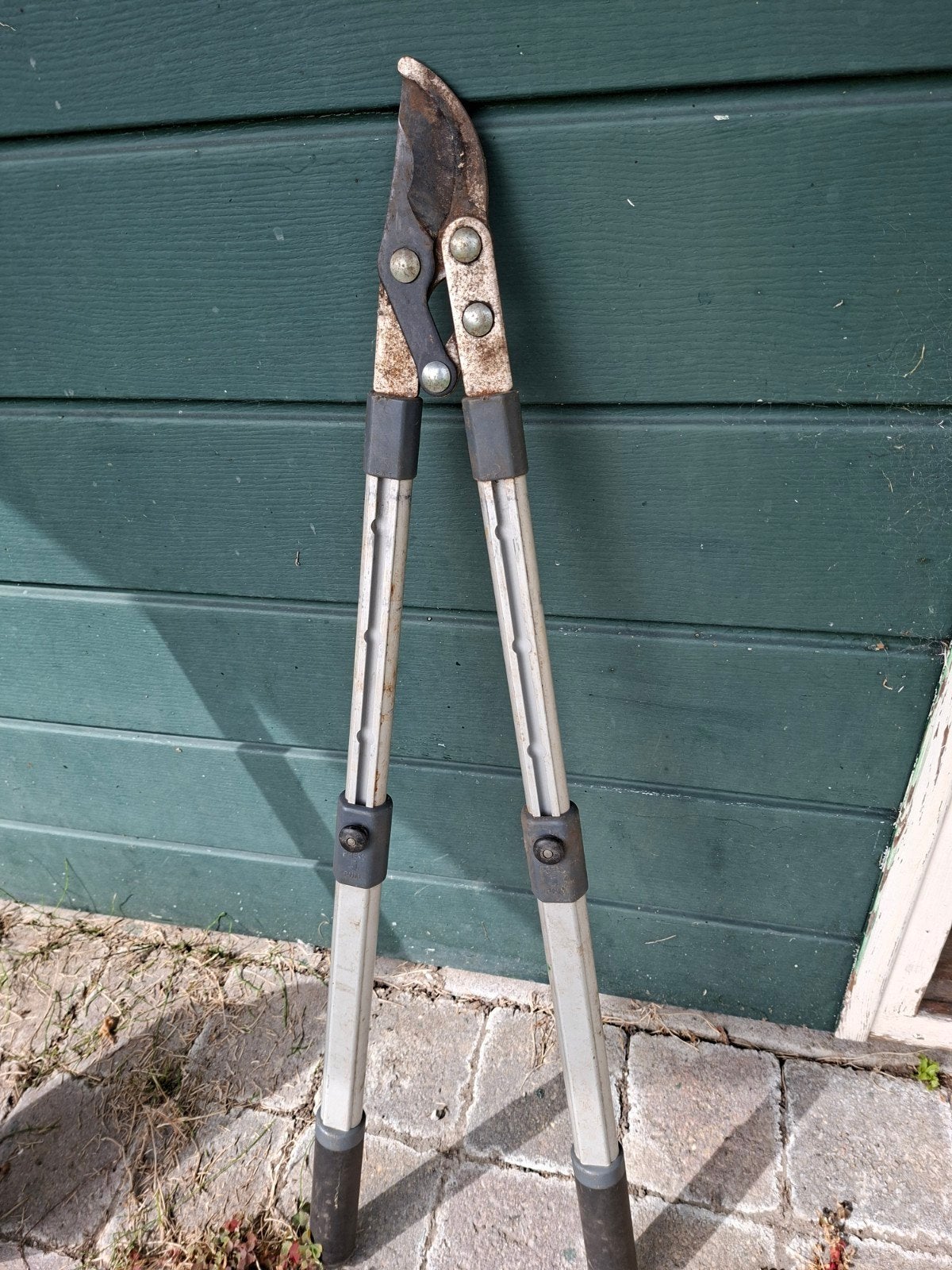 Robuuste takkenschaar voor tuinonderhoud, Ophalen of Verzenden, Gebruikt, 30 t/m 39 mm, Onbekend