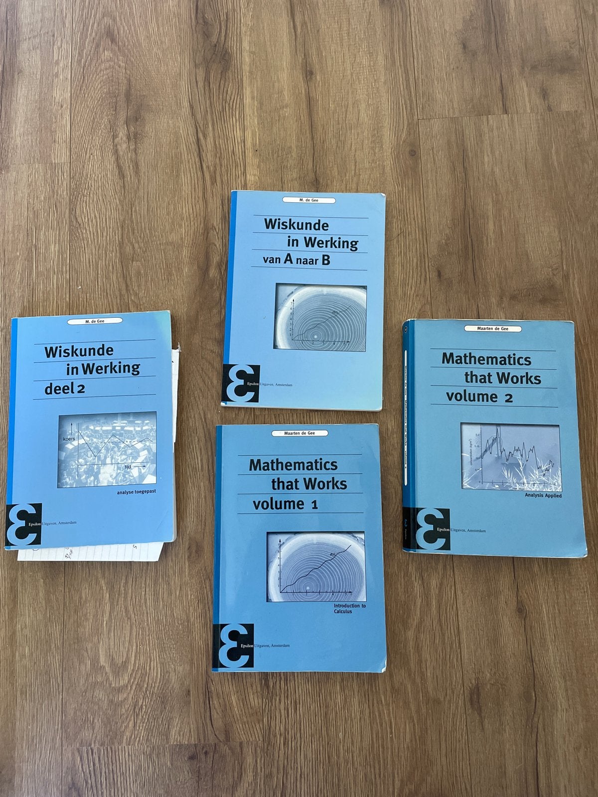 Wiskunde in Werking & Mathematics that Works boeken, Boeken, Studieboeken en Cursussen, Ophalen of Verzenden, Beta, Gelezen, HBO
