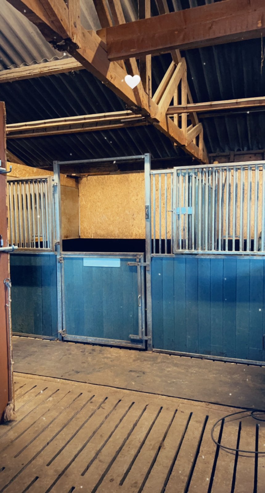 Per direct mega uitloopstal en 2binnenboxen beschikbaar, Dieren en Toebehoren, Stalling en Weidegang, Weidegang, 2 of 3 paarden of pony's