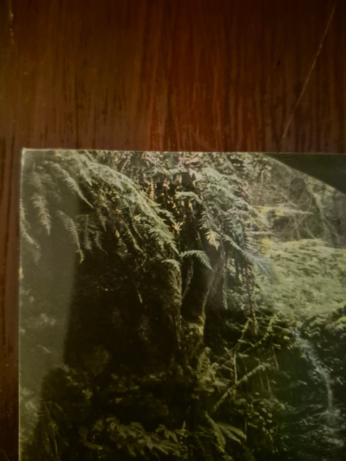 Prana Crafter - Enter the Stream (2018) LP - Mint/Sealed, Geseald, Ophalen of Verzenden, Folk, LP