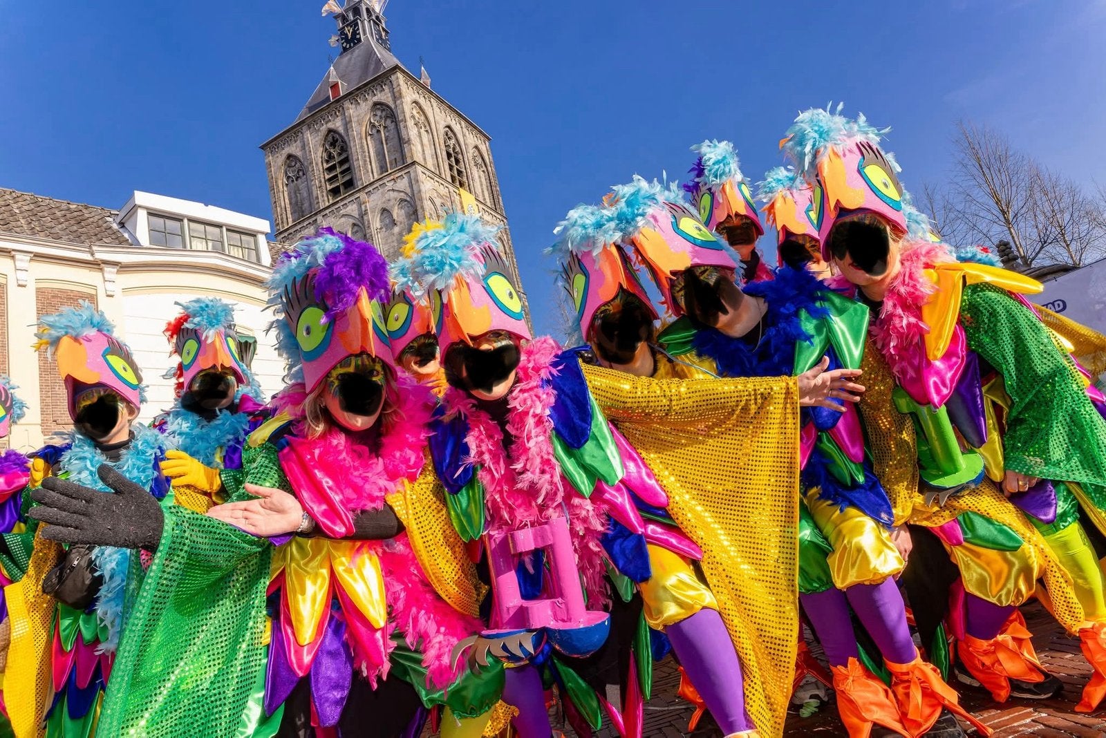 Super mooie vogelpakken te koop, Ophalen of Verzenden, Zo goed als nieuw, Maat 46/48 (XL) of groter, Carnaval