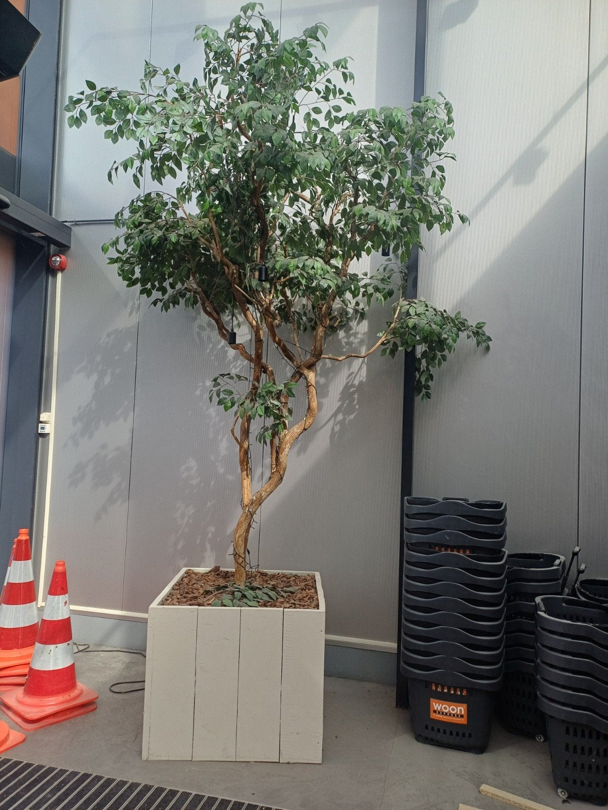 2x grote Kunstplant met Verlichting - Realistische Boom, Ophalen, Binnen, Groen, Kunstplant