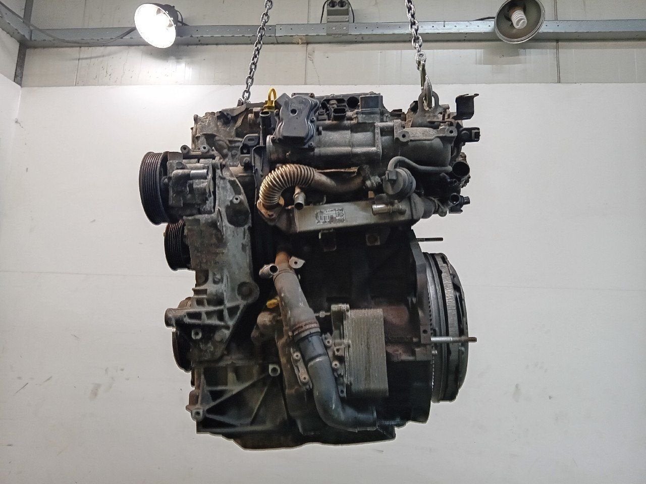 Motor Renault Master, Onderdelen@venauto.nl, Van der Ven Autorecycling B.V., Gebruikt, Ettenseweg 76, 4706 PB Roosendaal, The Netherlands