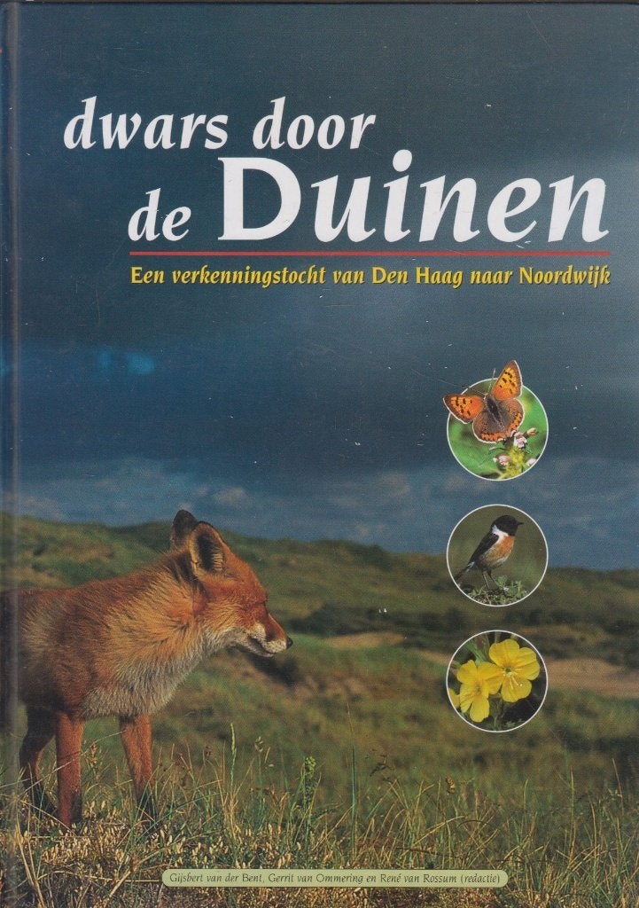 Dwars door de duinen : een verkenningstocht, Gijsbert van der Bent, Wandel- of Recreatiegebieden, Ophalen of Verzenden, Zo goed als nieuw