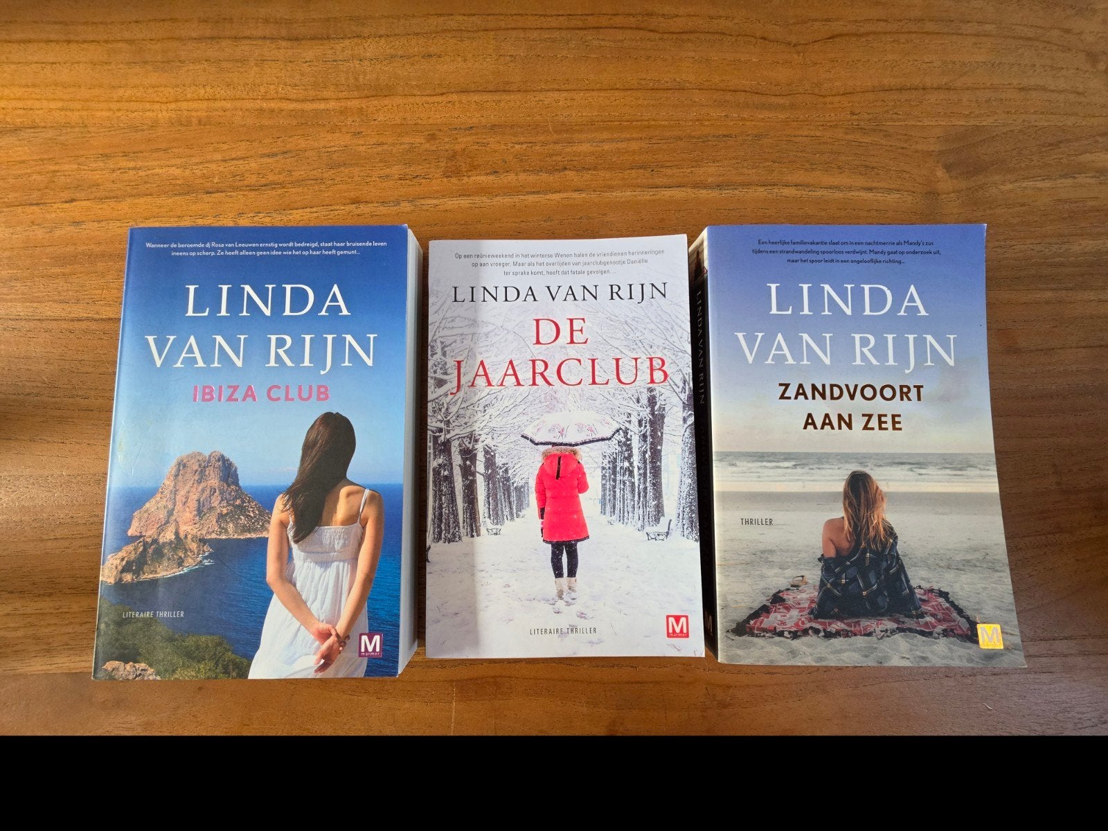 3 literaire thrillers van Linda van Rijn – Zo goed als nieuw, Boeken, Ophalen of Verzenden, Zo goed als nieuw, Linda van Rijn
