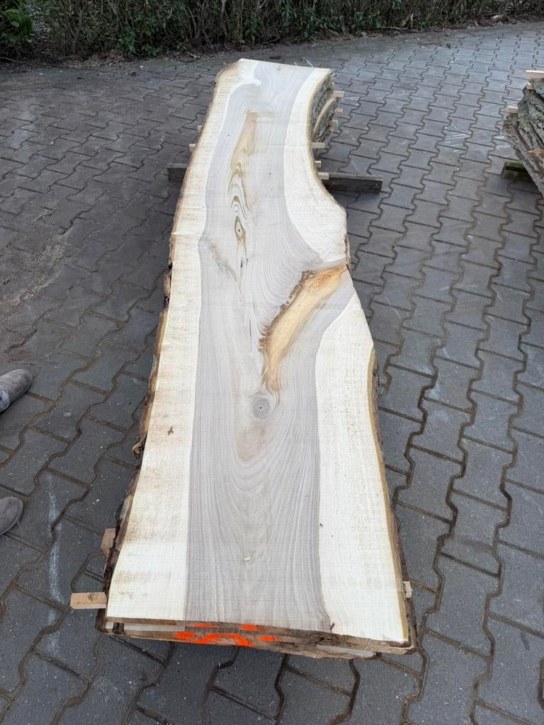 Walnoot schaaldelen hele stam 400 euro, Ophalen, Zo goed als nieuw, 250 cm of meer, Planken