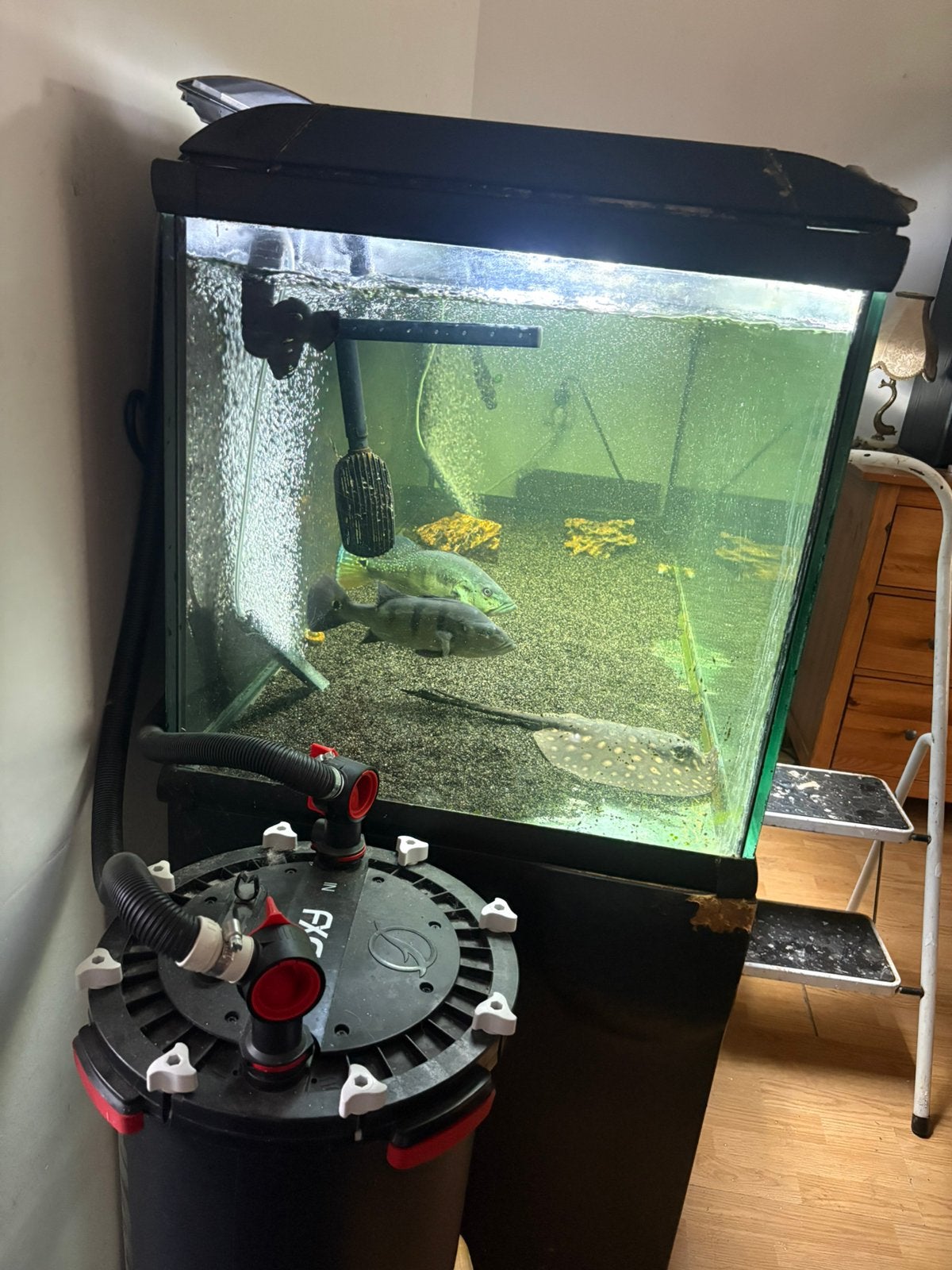 Aquarium groot, Dieren en Toebehoren, Vissen | Aquaria en Toebehoren, Ophalen, Zo goed als nieuw, Leeg aquarium