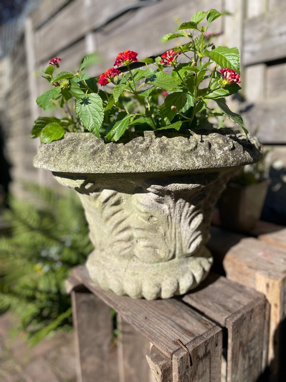 Oude ornamenten bloempot, Tuin en Terras, Bloempotten, Ophalen, Steen, Gebruikt, 40 cm of meer