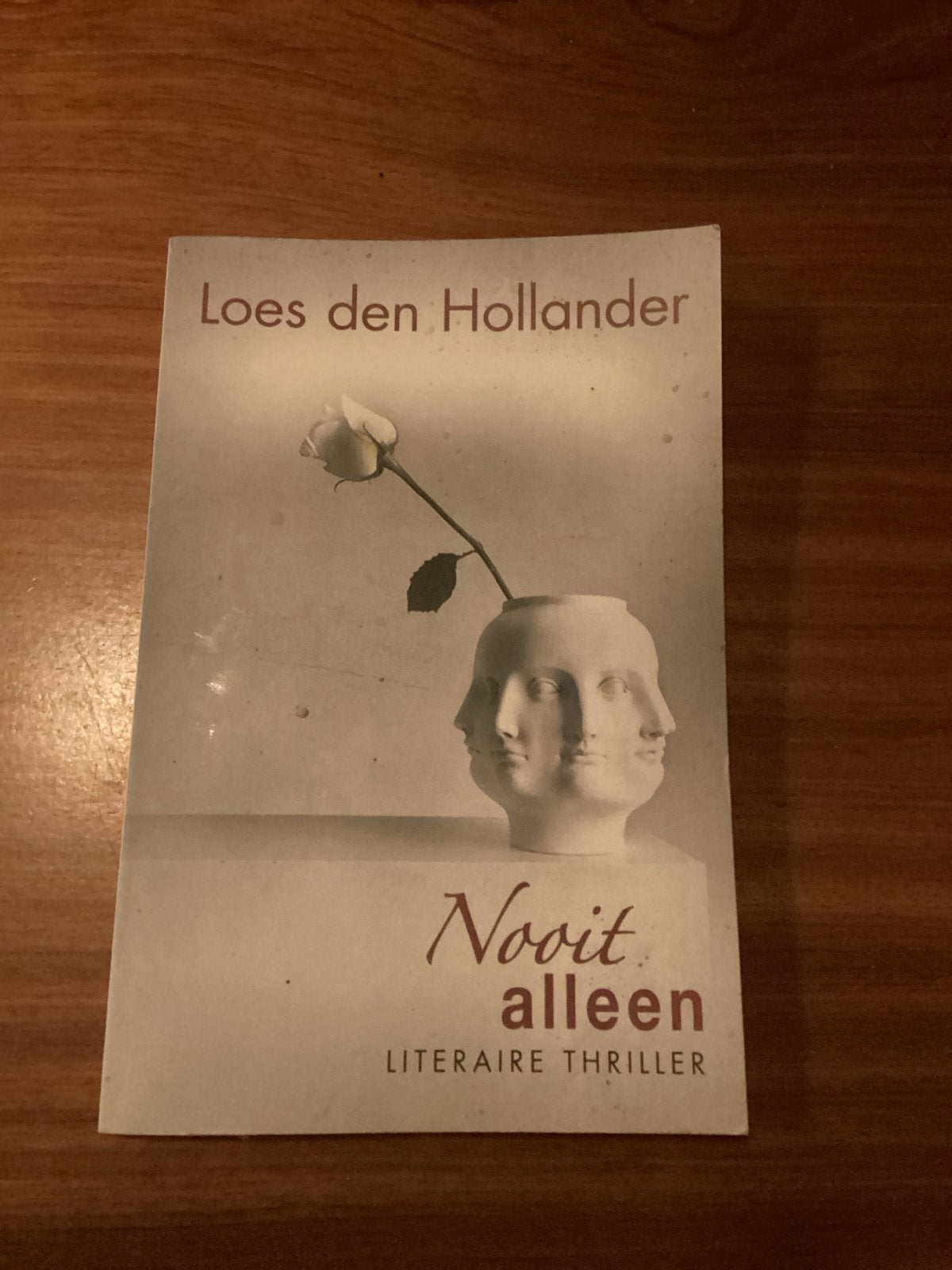 Loes den Hollander - Nooit alleen (Literaire thriller), Ophalen of Verzenden, Gelezen, Nederland